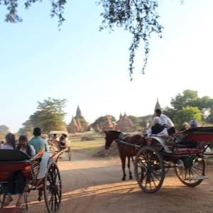 Meet your Posher, Dida